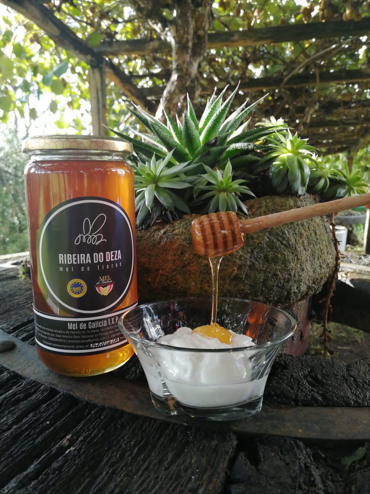 Tarros listos para entrega